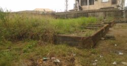 BLOCK OF 4 NOS 2BEDROOM FLAT, 2NOS 3BEDROOM FLAT, WITH VACANT PLOT AT WESTWOOD ESTATE, BADORE